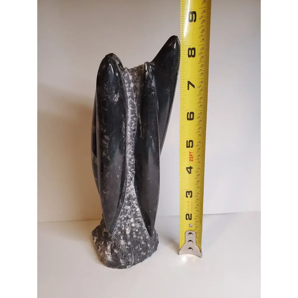 Black Fossils Orthoceras Sculpture Tower - 8